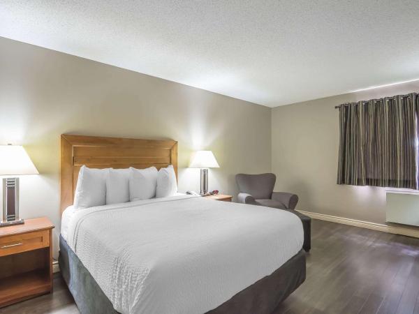 Quality Inn West Edmonton : photo 7 de la chambre chambre lit king-size standard - non-fumeurs