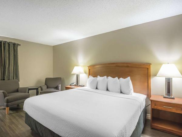 Quality Inn West Edmonton : photo 9 de la chambre chambre lit king-size standard - non-fumeurs