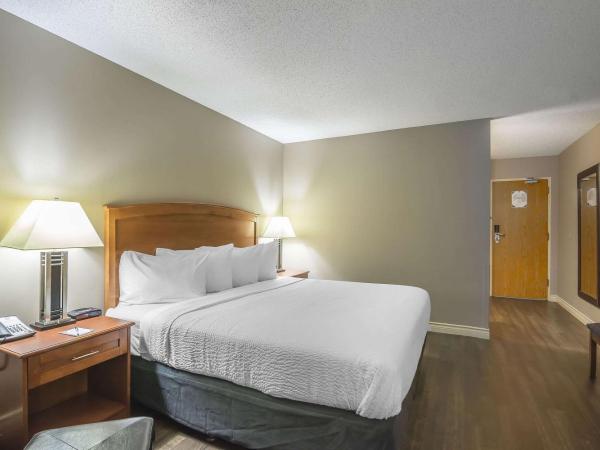 Quality Inn West Edmonton : photo 2 de la chambre chambre lit king-size standard - non-fumeurs