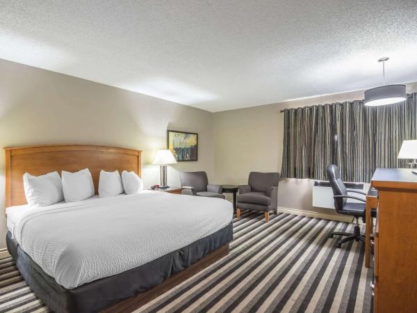 Quality Inn West Edmonton : photo 2 de la chambre chambre exécutive lit king-size - non-fumeurs
