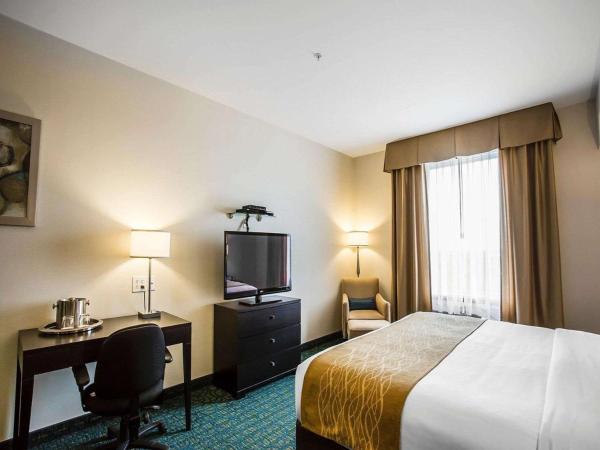 Comfort Hotel Bayer's Lake : photo 2 de la chambre chambre lit king-size - non-fumeurs