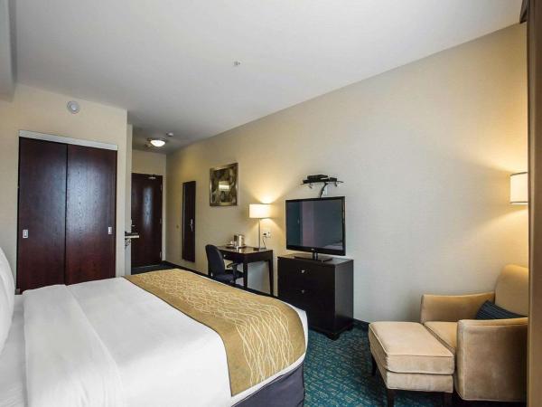 Comfort Hotel Bayer's Lake : photo 1 de la chambre chambre lit king-size - non-fumeurs