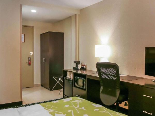 Econo Lodge : photo 2 de la chambre chambre lit king-size - non-fumeurs