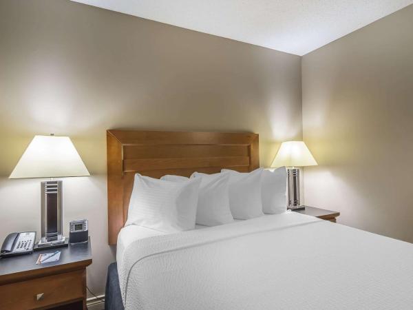 Quality Inn West Edmonton : photo 1 de la chambre chambre lit queen-size - non-fumeurs