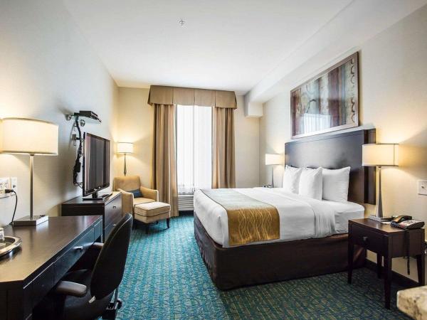 Comfort Hotel Bayer's Lake : photo 3 de la chambre chambre lit king-size - non-fumeurs