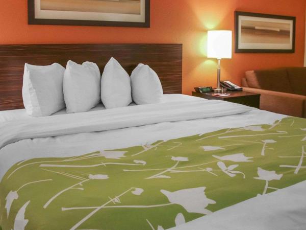 Econo Lodge : photo 3 de la chambre chambre lit king-size - non-fumeurs