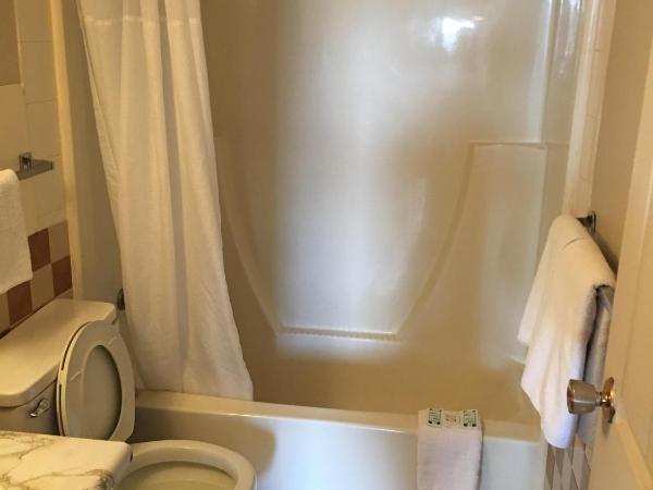 Red Deer Inn & Suites : photo 4 de la chambre suite lit queen-size deluxe