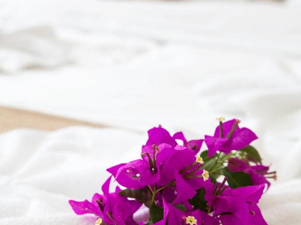 Pousada Casa Búzios : photo 5 de la chambre chambre double deluxe avec terrasse - vue sur jardin