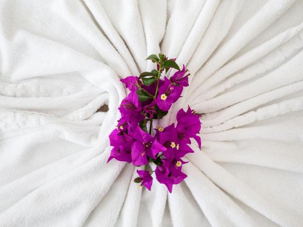 Pousada Casa Búzios : photo 8 de la chambre chambre double deluxe avec terrasse - vue sur jardin