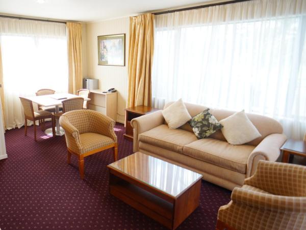 Cornwall Park Motor Inn : photo 3 de la chambre appartement 1 chambre