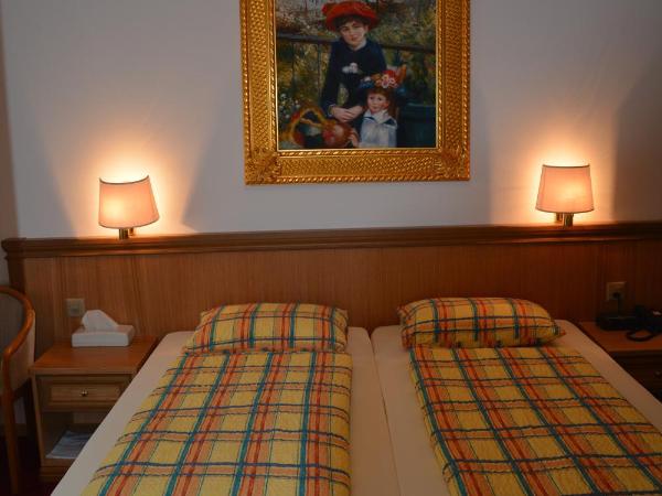 Hotel Dischma : photo 9 de la chambre chambre double ou lits jumeaux 