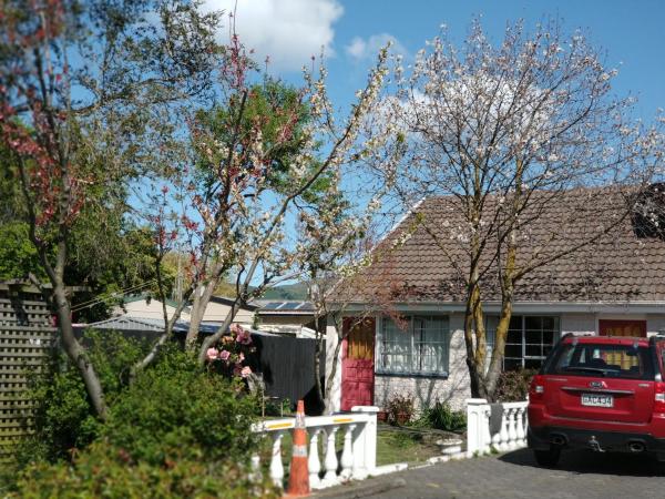 Ferry Motel : photo 1 de la chambre studio