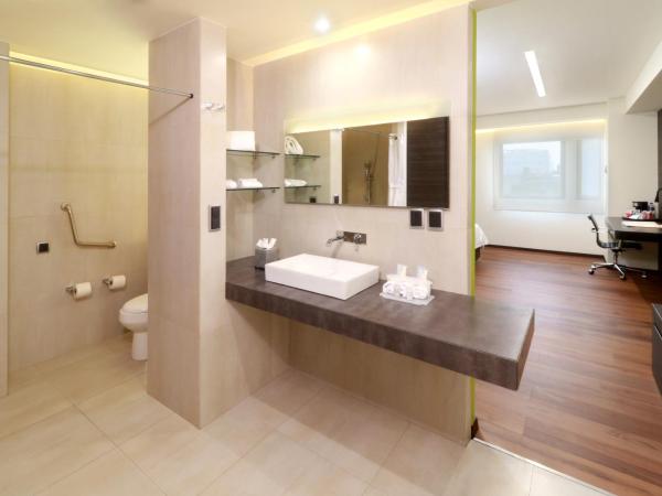 Holiday Inn Express Mexico Aeropuerto, an IHG Hotel : photo 4 de la chambre chambre lit king-size standard avec douche accessible en fauteuil roulant - adaptée aux personnes à mobilité réduite