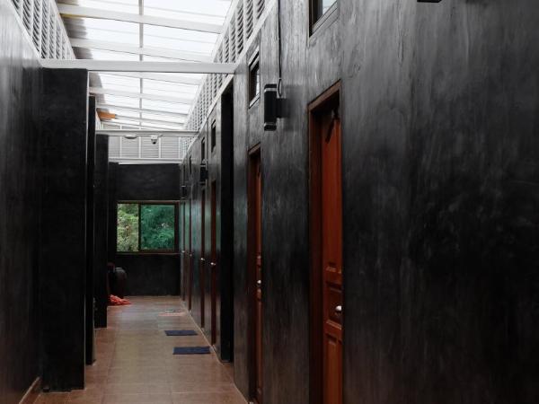 Ibiza Phi Phi : photo 2 de la chambre lit dans dortoir mixte de 4 - 6 lits