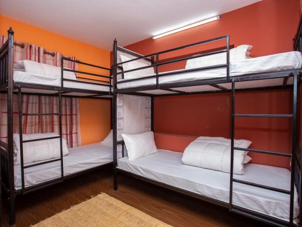 Gurung's Home : photo 1 de la chambre lit dans dortoir 6 lits