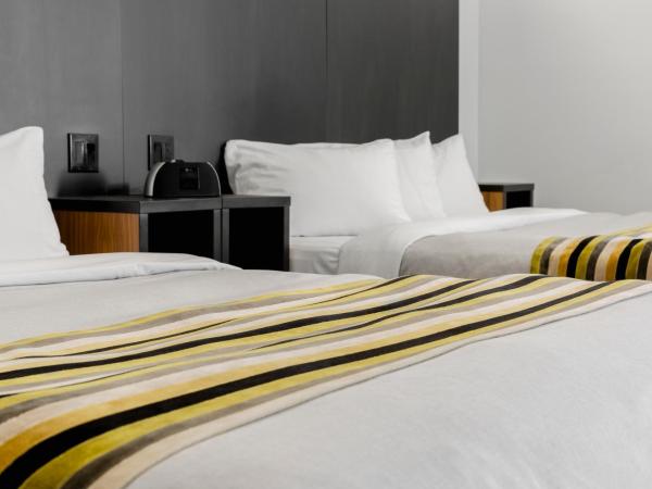 Littoral - Hôtel & Spa : photo 7 de la chambre chambre avec 2 grands lits queen-size