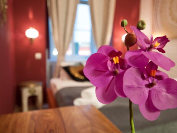 Urban Boutique Hotel : photo 2 de la chambre chambre double avec toilettes communes