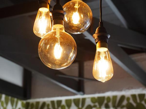 The Steady : photo 10 de la chambre lit simple dans dortoir mixte