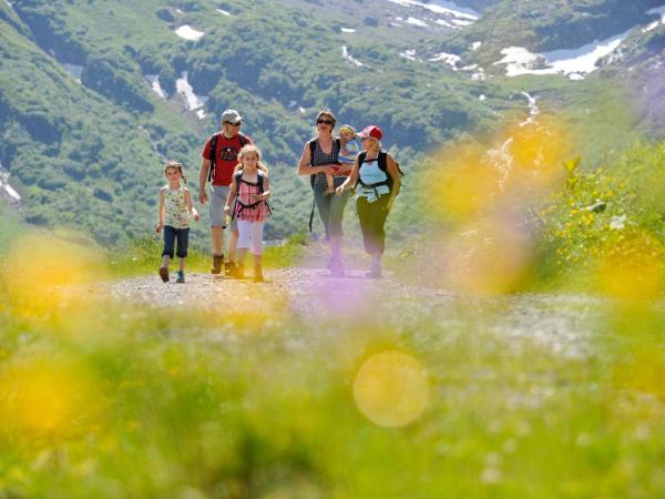 Hotel Schweizerhof : photo 8 de la chambre chambre familiale standard