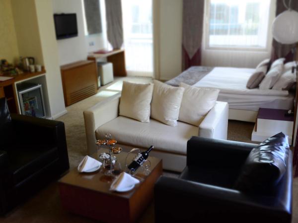 City Hotel Ankara : photo 10 de la chambre suite junior