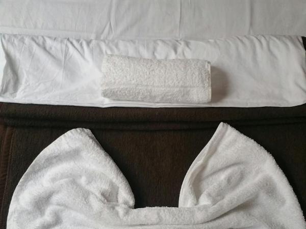 Mustafa Hotel : photo 7 de la chambre grande chambre double 