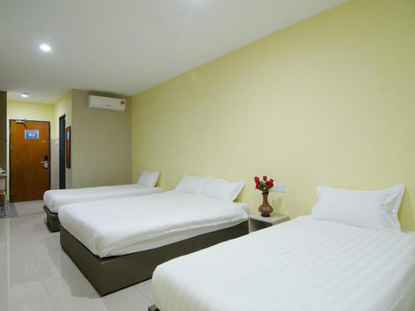 Hotel Raja Bot : photo 6 de la chambre chambre familiale