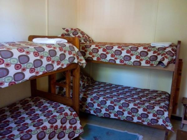 Hostel Los Pioneros : photo 2 de la chambre chambre quadruple