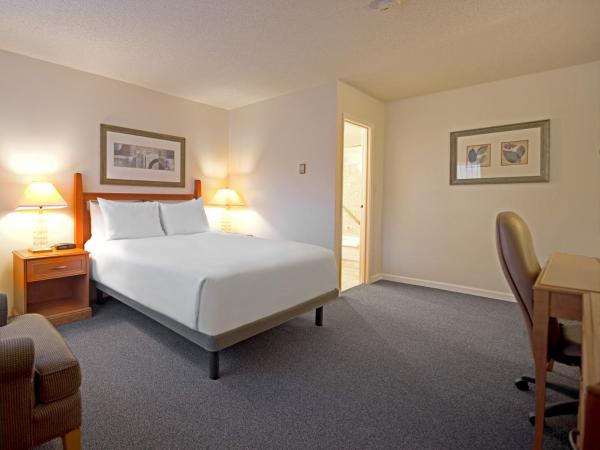 Robin Hood Inn and Suites : photo 7 de la chambre chambre standard lit queen-size