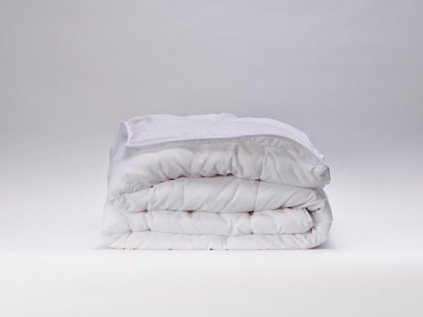 Robin Hood Inn and Suites : photo 7 de la chambre suite lit queen-size 1 chambre