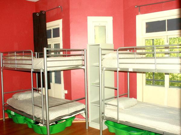 The Hive Hostel - Traveler Friendly, Passport Only : photo 4 de la chambre lit dans dortoir pour femmes de 6 lits