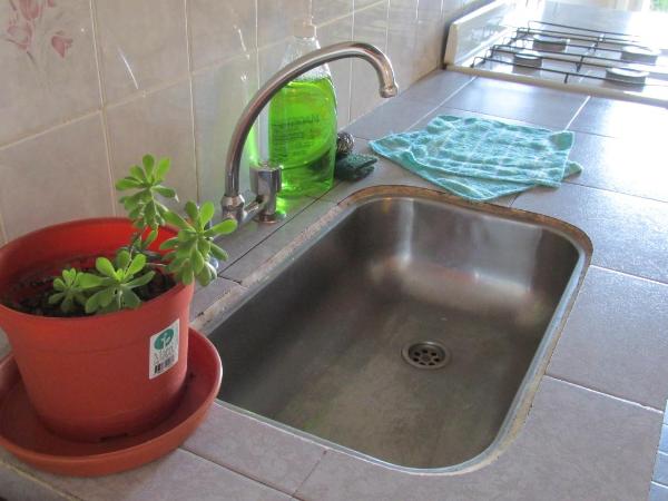 Hostel Aves del Lago : photo 4 de la chambre appartement - vue sur jardin