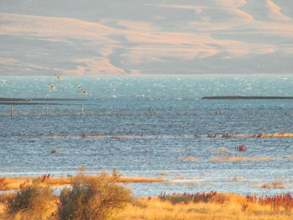 Hostel Aves del Lago : photo 6 de la chambre chambre double avec salle de bains commune