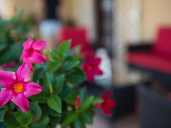 KiBari B&B : photo 4 de la chambre chambre deluxe