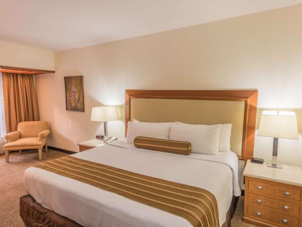 Wyndham Garden Guadalajara Expo Plaza del Sol : photo 3 de la chambre chambre lit king-size standard