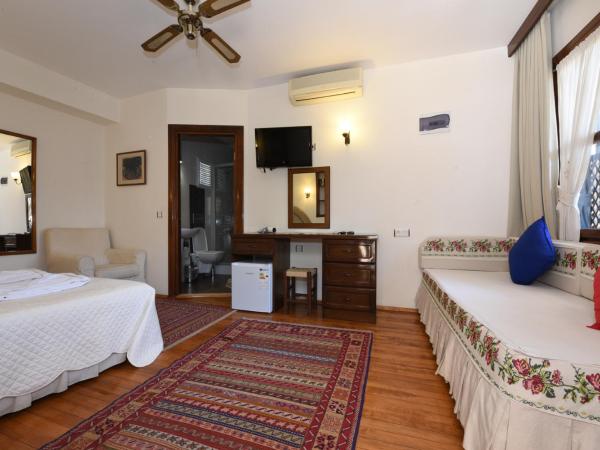 Villa Konak Hotel : photo 3 de la chambre chambre deluxe