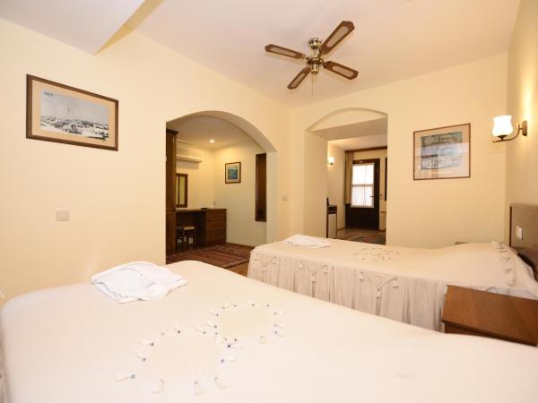 Villa Konak Hotel : photo 4 de la chambre chambre deluxe