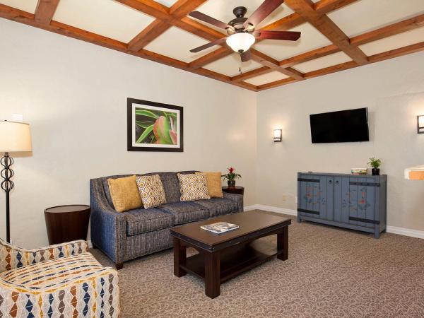 El Cordova : photo 7 de la chambre suite 1 chambre