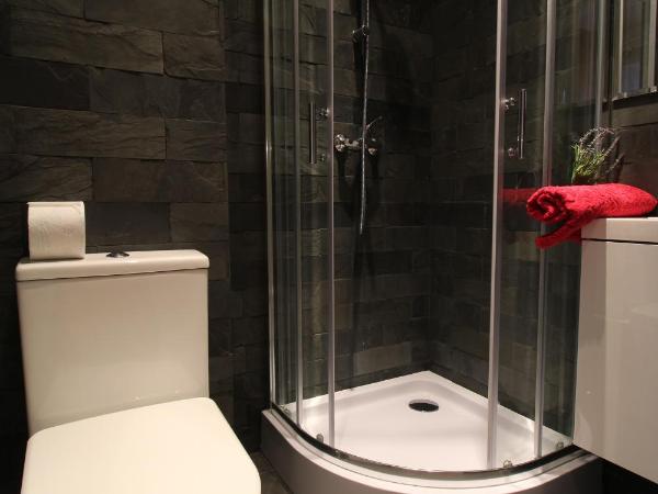 Aparthotel Tectum TectumApartments : photo 10 de la chambre appartement avec douche