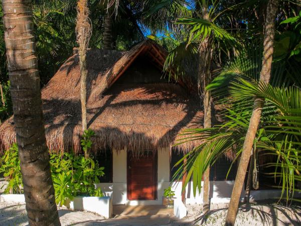 Casa Violeta : photo 1 de la chambre bungalow supérieur