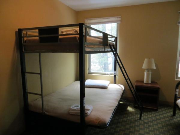 Downtown Value Inn : photo 8 de la chambre lit simple dans dortoir mixte