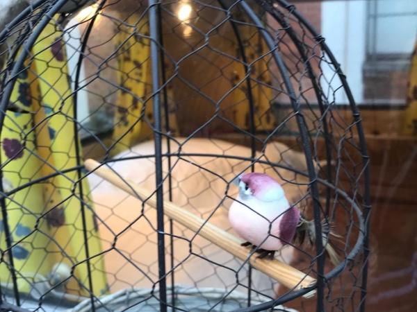 HafenTraum IndoorCampingHostel : photo 4 de la chambre chambre double avec salle de bains commune