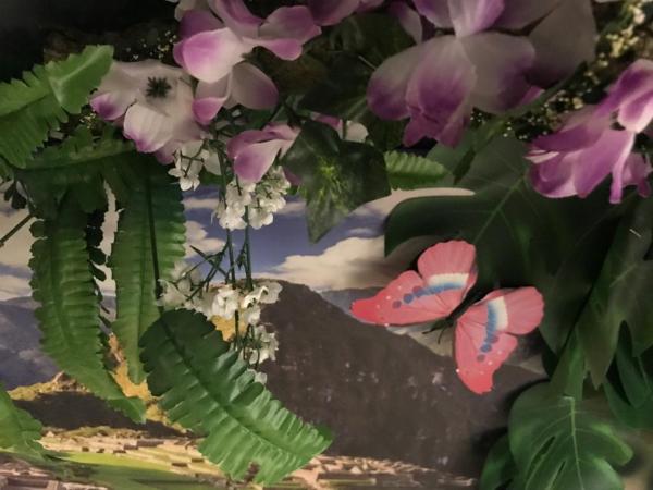 HafenTraum IndoorCampingHostel : photo 9 de la chambre chambre triple basique avec salle de bains commune