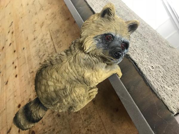 HafenTraum IndoorCampingHostel : photo 7 de la chambre chambre quadruple avec salle de bains commune