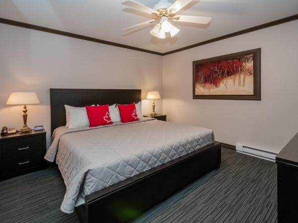 Hotel & Suites Monte-Cristo : photo 4 de la chambre suite lit king-size