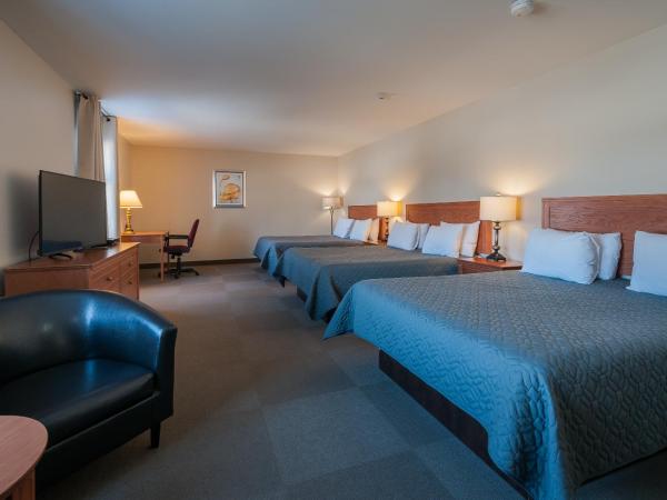 Hotel & Suites Monte-Cristo : photo 4 de la chambre chambre familiale