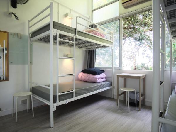 YHA Jockey Club Mt. Davis Youth Hostel : photo 2 de la chambre lit dans dortoir masculin de 4 lits