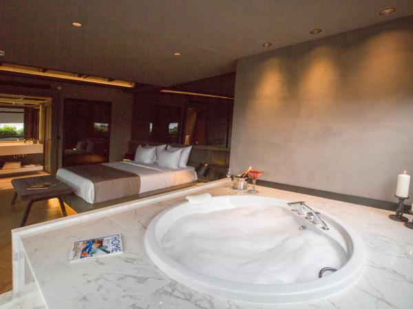 Cityloft 81 : photo 9 de la chambre suite avec jacuzzi
