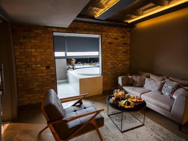 Cityloft 81 : photo 6 de la chambre hébergement junior avec jacuzzi