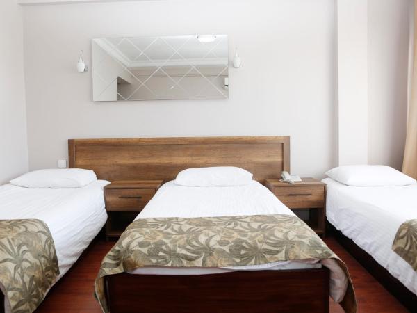Cihan Palas : photo 3 de la chambre chambre triple standard