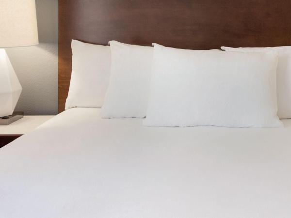 Radisson Hotel Phoenix Airport : photo 4 de la chambre suite 1 chambre lit king-size avec canapé-lit - non-fumeurs